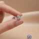 Amara Royale studs