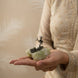 Treasure seeker crystal